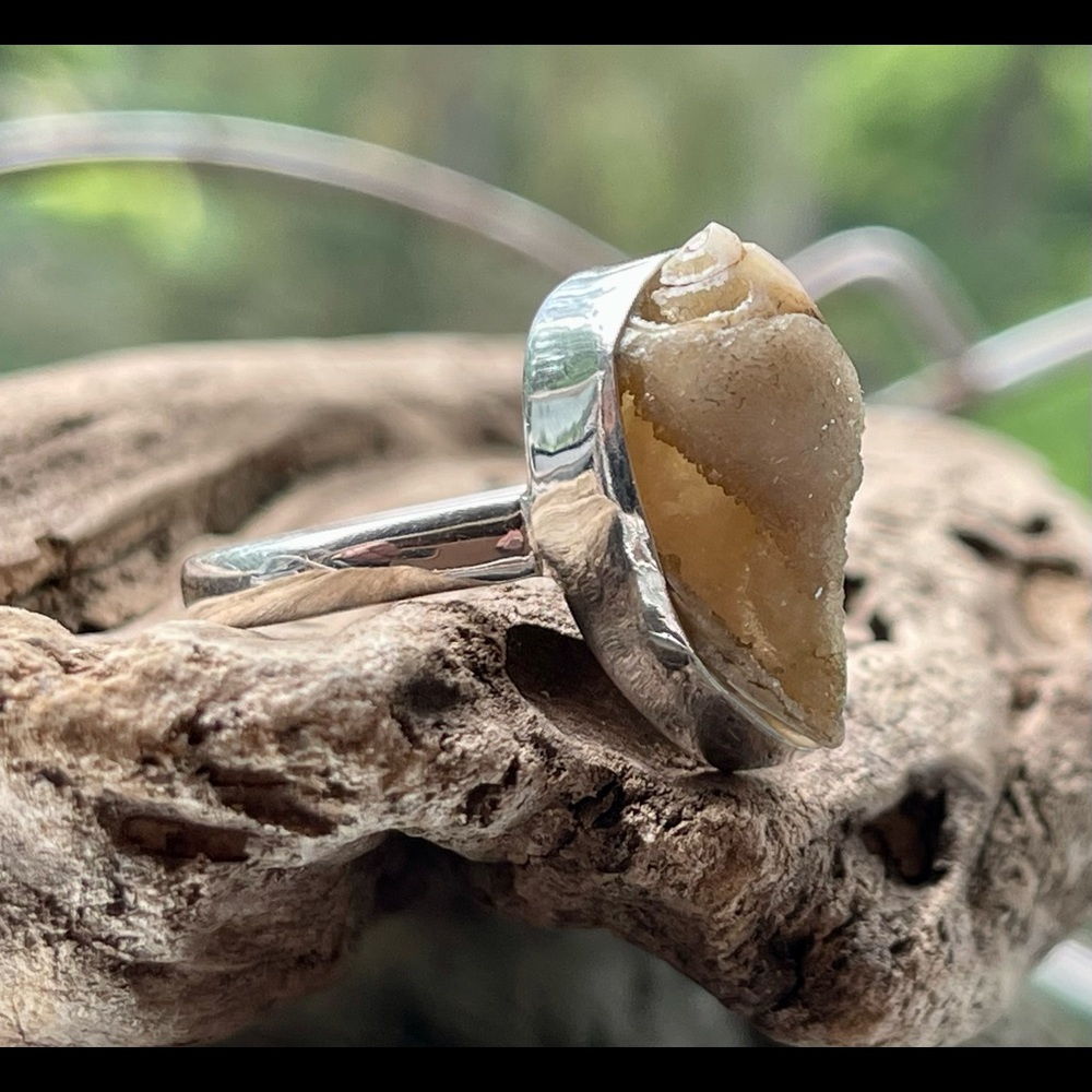 Incredible Natural Spiralite Fossil Druzy GemShell Ring | sz 10.25 - Picture 4 of 13